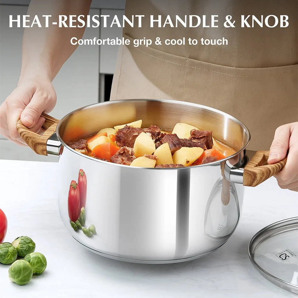 CSK Stainless Steel Pot 8 Quart Stock Pot with Visible Lid for Soup Pasta Vegetable Double Handle Dishwasher Safe